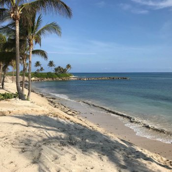 MoMs DietBet round 4!