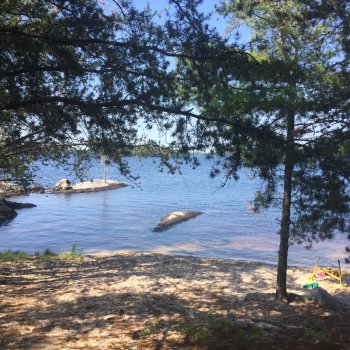 MoMs Diet Bet Round 5