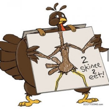 The skinny turkeys