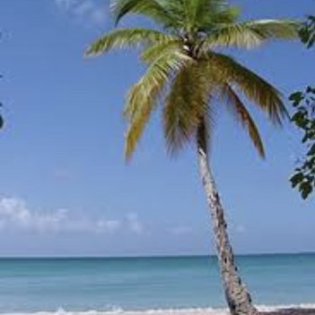 Let’s get skinny for Spring Break!