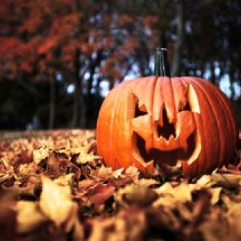 Holiday accountability with Lisha2.0Keto