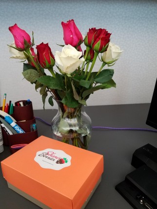 surprise gift from my husband