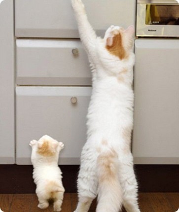 AFTER DEALING WITH MY JOB AND THE GOVERNMENT I EAT, EAT AND DRANK. DRINK LOT OF WATER PEOPLE !!!!!!