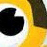 On the diet bet I did not give it my all. I lost 3pound . My knee hurt. I am 300 pound. So today I