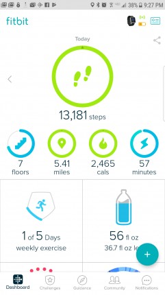 A full day of work then enjoyed the warm sunshine by raking the yard & picking up a winters wort