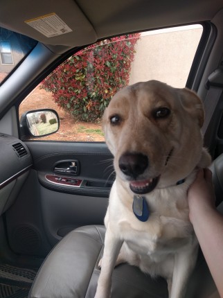 On our way to some hiking trails! We walked a loop that was nearly 3 miles. :D