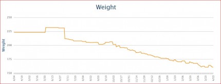 Here is a photo of my weight loss over the past year. As you can see, many ups and downs on the sca