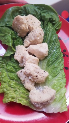 Honey garlic chicken wrapped woth romaine