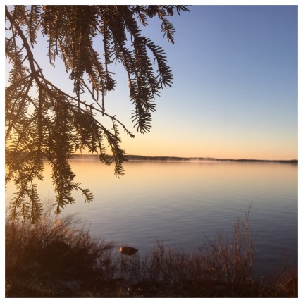 Beautiful morning for a run at the lake. I also just made my weight for the db challenge this mornin