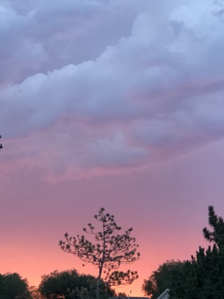 Enjoying an evening walk!