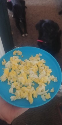 After being sick my appetite is not there. I'm forcing myself to eat some eggs. My girls are eager t