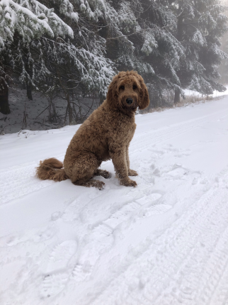 I am still struggling with eating too much junk food! I just can’t seem to stop eating candy. My fav