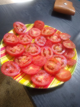 Little snack: sliced Roma tomatoes with lemon pepper and salt.