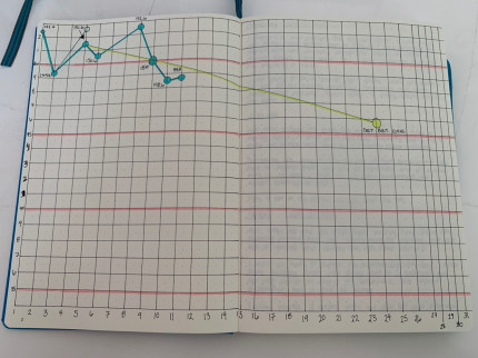 I like weighing in every day because it helps me see that the overall trend is down, and just how mu