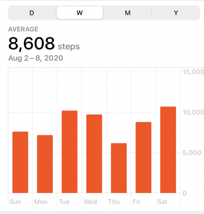 I completed 30+ min workouts each day and went on a few walks with the dog per day