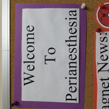 Hanover Perianesthesia diet bet