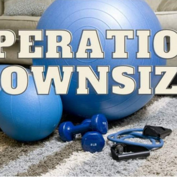 Operation Downsize 2: Redemption