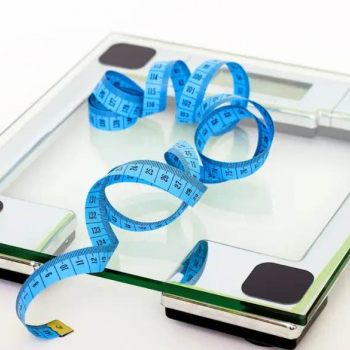 Mission Slimpossible