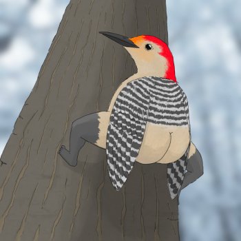 Erins Birthday Challenge