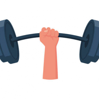 Allie’s Kickstarter