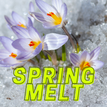 Spring Melt