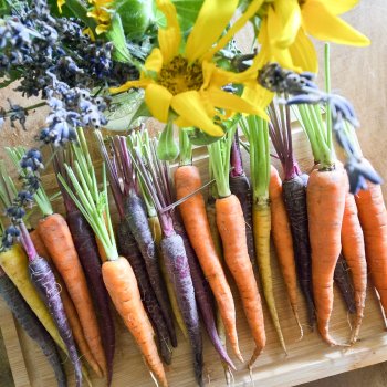 Happy Healthy Spring