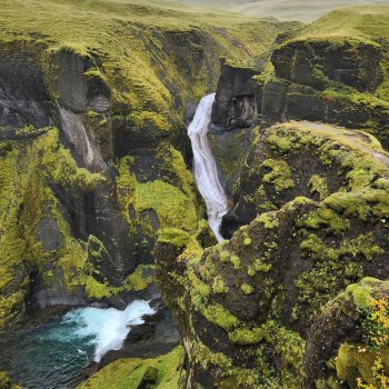 Iceland DietBet