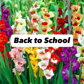 Back to school