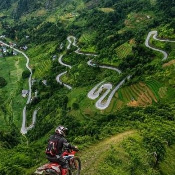 North Vietnam -1 DietBet