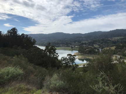 Finally got in a good 75 minute hike today! All uphill the first half, then nice and flat the second