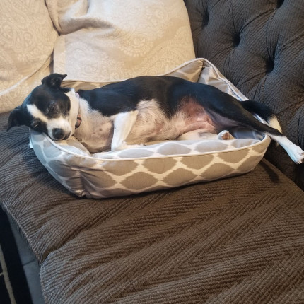 How is everyone doing so far? What exercises are you doing? What are you eating? Why is everyone so