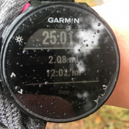 Nice easy run in the rain :)