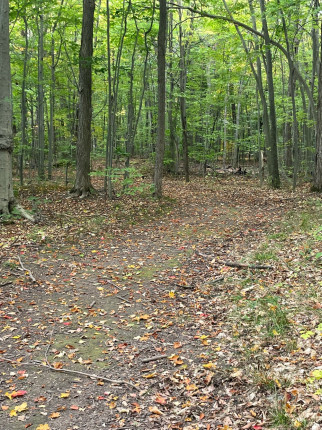 I enjoy getting my steps in at lunch time on this trail.