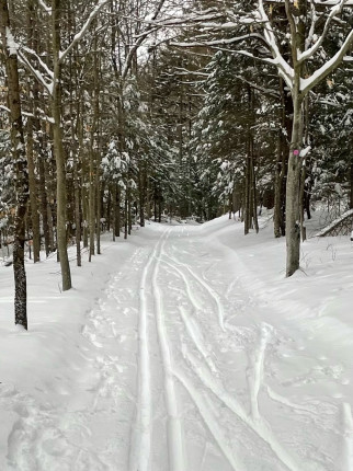 I enjoyed the day skiing today. I have not been making the best food choices lately and probably won