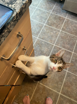 He’s my accountability coach…. Who new he would watch my every meal :flushed:???????????