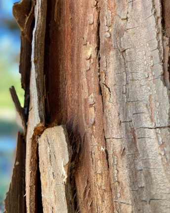 Hi guys ~ just a quick moment to say hello :wave:???? and don’t be to hard on yourself… We are all d