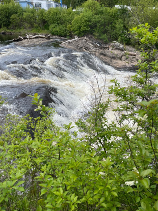 I did an official weigh in today. It was not good. I will continue to take it one day at a time and