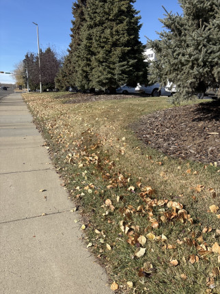 This is my first transformer I’m really liking that it is full force ahead. Normally a game ends and