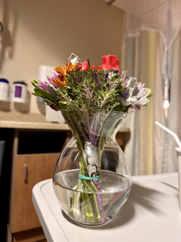 I’ve been in the hospital with a ruptured appendix the last four days, and thought I might need to f