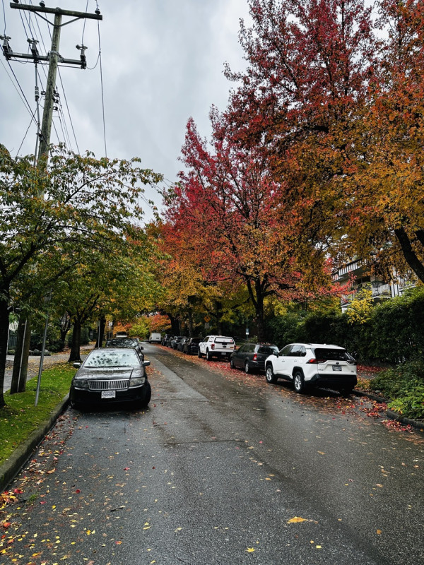 Enjoying the fall season. Even though it's raining outside, I went out for a walk.