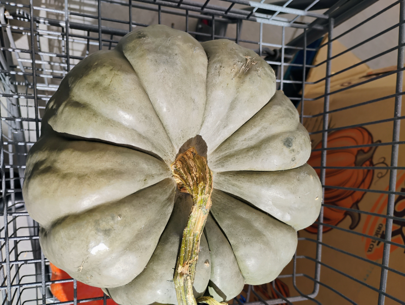 I was doing a little last minute pumpkin hunting, and tomorrow is lunch with my mum. Good stuff