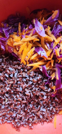 Lunch today:grinning: