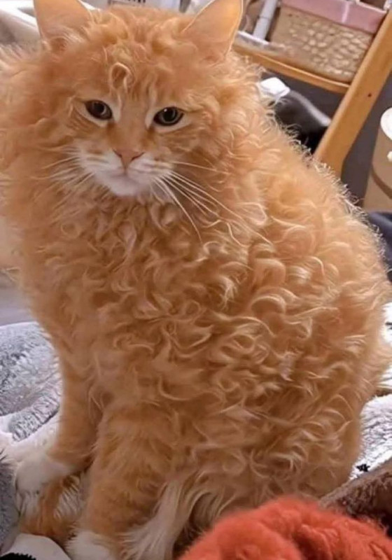 Anyone else find it much harder to make weight after the first month? I always manage to lose weigh