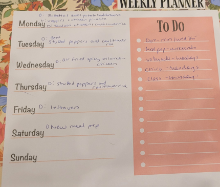 My plan for this week!