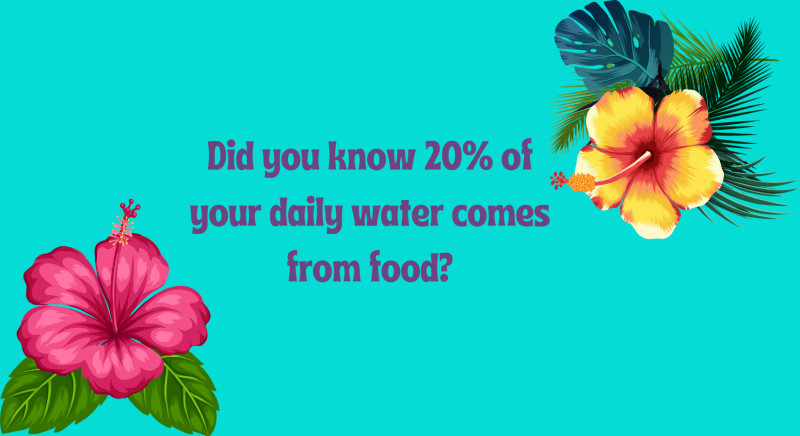 Let’s be honest: standing at the sink trying to chug a gallon of water can feel more like a chore th