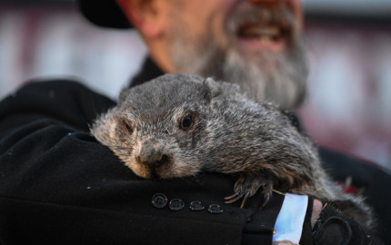 Happy Tuesday!It’s the last week of the game and somehow we’re already here. How are we feeling? Anx