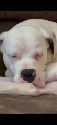 This is the only time he’s sitting still…lol