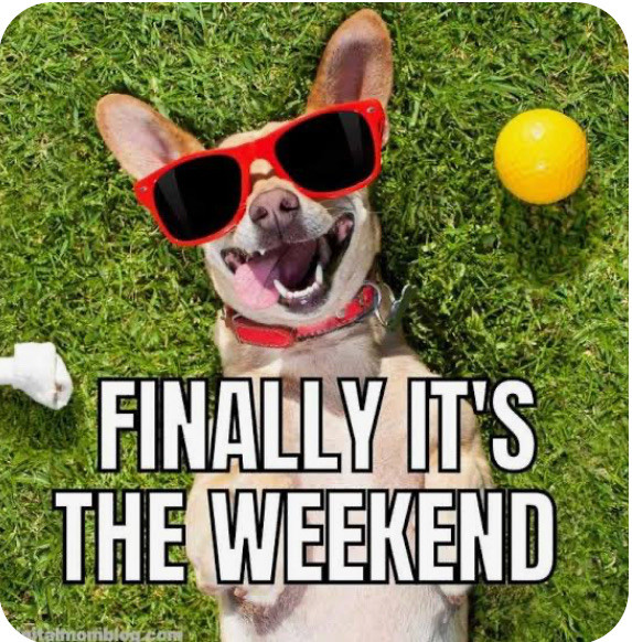 Good morning and Happy Friday! My weekend starts today but it’s not going to be relaxing. We have ki