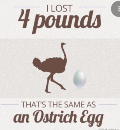 I have lost 4.1 lbs so far....1.7 lbs left until I reach my goal....with 9 days left, can I do it???