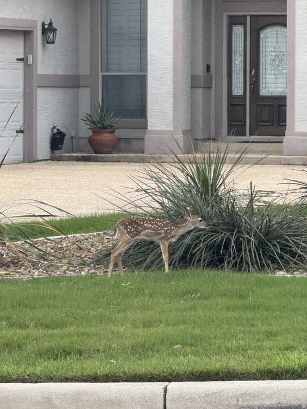 Sweet baby on my 4.5 mile run!